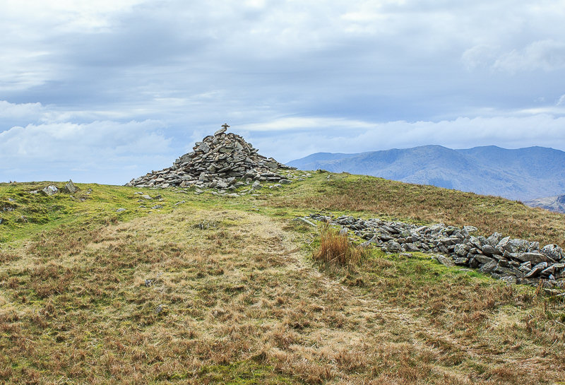 Nab Scar Nab Scar